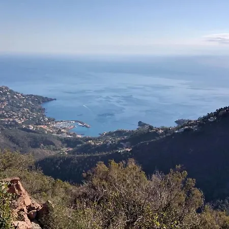 Cap Esterel Village : Studio Vue Esterel - C1 74la Saint-Raphaël